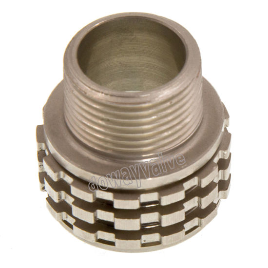Brass Female PPR Insert PPR Fittings (DW-PP013)