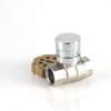 OEM Factory Brass Straight Type Water Meter Lockable Ball Valve (DW-LB002)