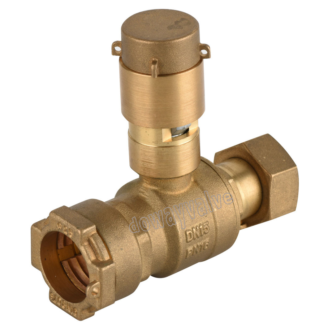 OEM/ODM China Factory High Quality Brass Cylider Lockable Ball Valve