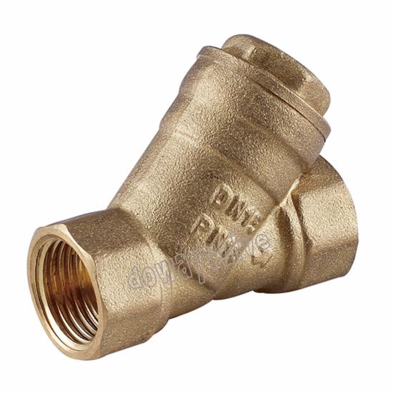 2 Inch Forged Brass Strainer with Stainless Steel Filter (DW-YS004)