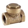 200wog Brass Swing Check Valve (DW-CV016)