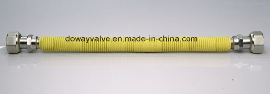 High Quality 304ss Nature Gas Hose with Connector (DW-GH11)
