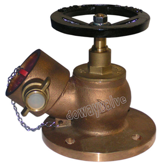Bib-Nose Pattern Bronze Fire Hydrant Valve (DW-FV001)