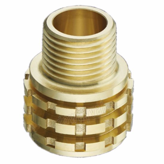 Brass Female PPR Insert PPR Fittings (DW-PP013)