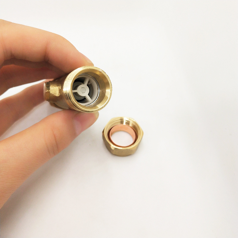 China Factory 15mm Brass Anti-Pollution Check Valve