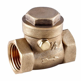 Dn15 Brass Inline Check Valve (DW-CV017)