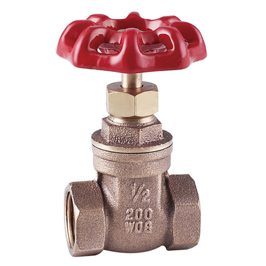OEM/ODM Forged Brass Gate Valve for Irrrigation Water System with Iron Handle From Chinese Factory（DW107）