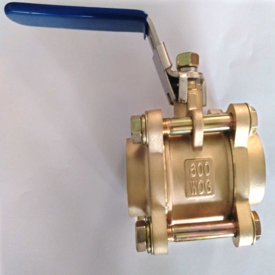 China Factory Medical in-Line Ball Valve with Steel Handle ( DW201-5)