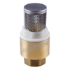 OEM/ODM Factory Forged Brass Non Return Spring Check Valve Inline Plasted in Polymer (DW-CV014)
