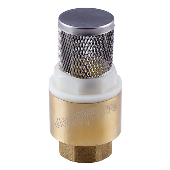 OEM/ODM Factory Forged Brass Non Return Spring Check Valve Inline Plasted in Polymer (DW-CV014)