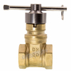 Forged Brass PPR Gate Valve(DWG120)