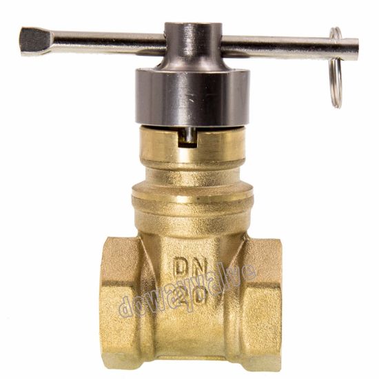 Forged Brass PPR Gate Valve(DWG120)