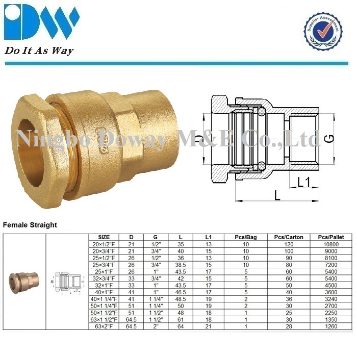 Factory Brass Compression Fittings for PE Pipe Female Coupling