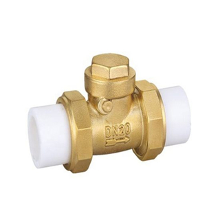 China Factory 3/4 Inch PPR Horizontal Brass Check Valve with Union (DW-CV027)