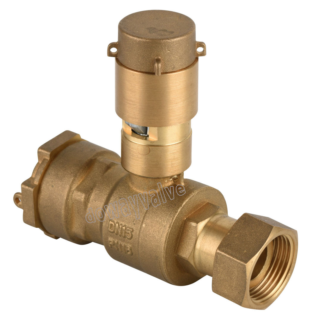 OEM/ODM China Factory High Quality Brass Cylider Lockable Ball Valve