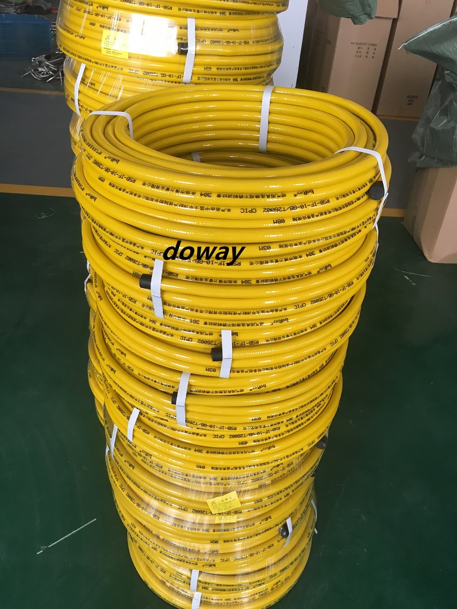 High Quality Stainless Steel Gas Hose with Connector