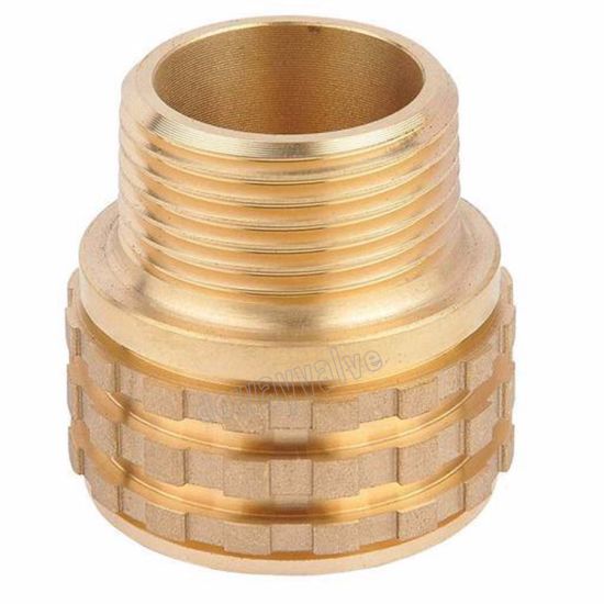 Brass Male Insert Fitting for PPR Fitting (DW-PP017)