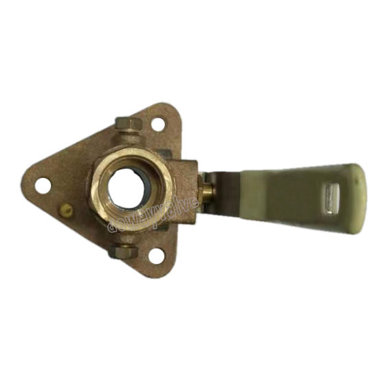 Steel Handle Bronze Flanged Seacock Valve (DW-BV017)