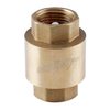 OEM/ODM Factory Forged Brass Non Return Spring Check Valve Inline Plasted in Polymer (DW-CV014)