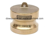 Brass Camlock Quick Hose Coupling Adapter(TYPE F)