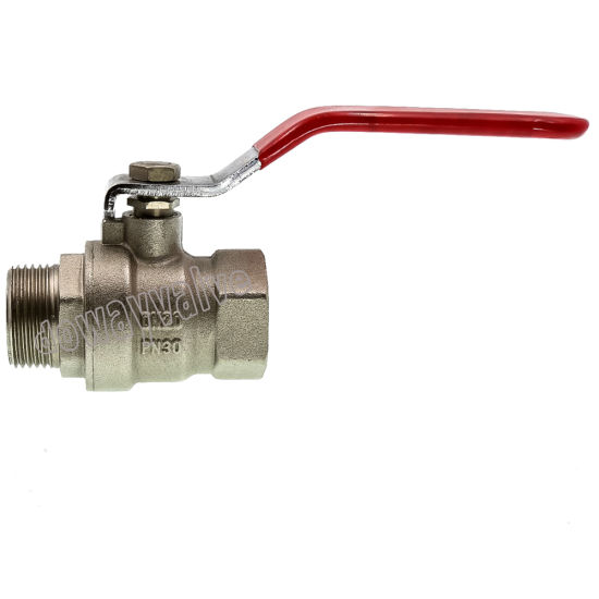 Dw249 Full Bore Male Ball Valve with Lever Handle (DW-B249)