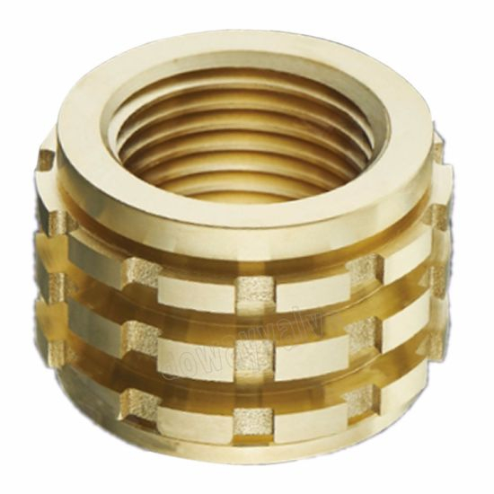 Brass Female PPR Insert PPR Fittings (DW-PP013)