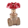 Forged Brass PPR Gate Valve(DWG120)
