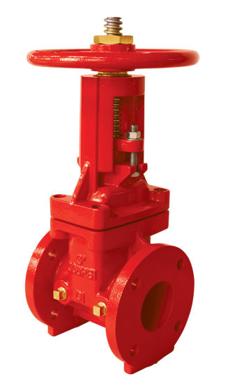 FM/UL OS&Y Type Flanged End Gate Valve 300psi (DW-FV008)