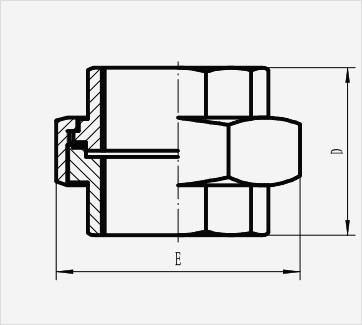 Stainless Steel Pipe Ground Joint Union Stainless
