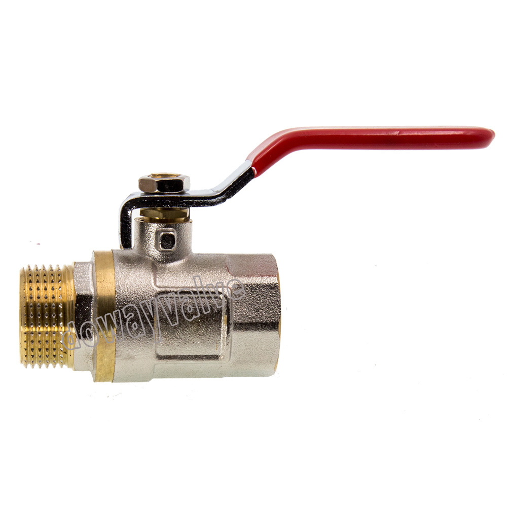Pn20 M/F High Quality 4 Inch Forged Brass Valve