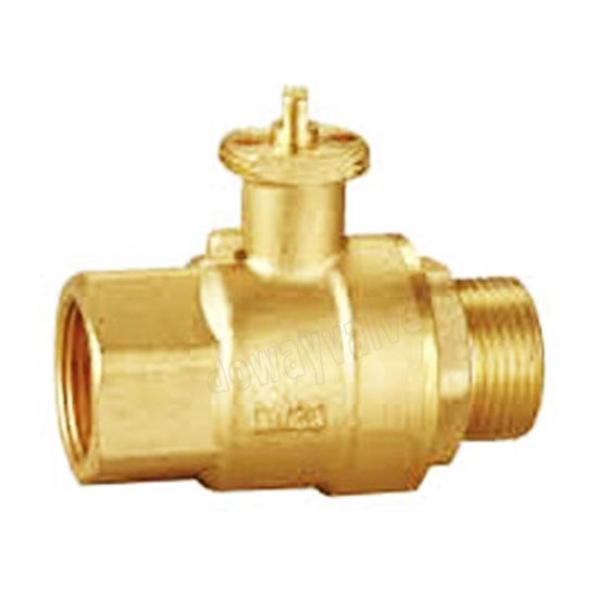 Female X Male Thread Brass Electric Ball Valve for Air Condition （DW-EB003）