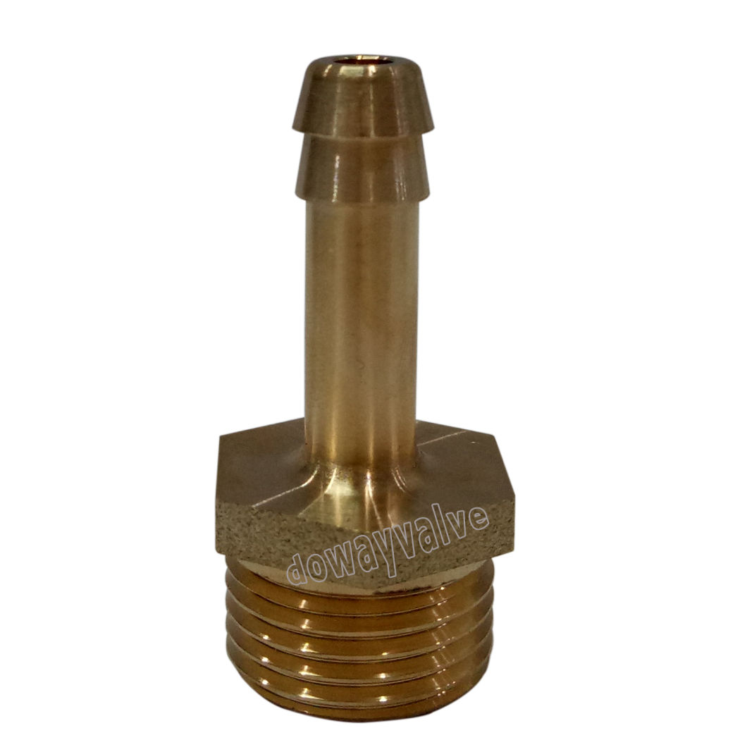 Polished Brass Straight Hose Coupling