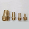 Polished Brass Straight Hose Coupling