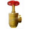 300psi Design Brass Landing Valve (DW-FV002)