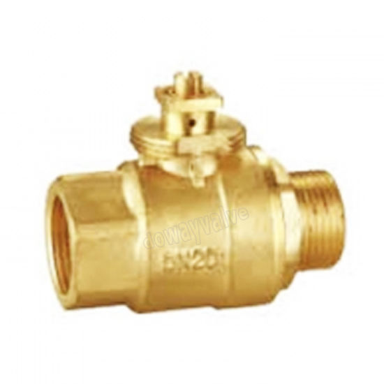 Female X Male Thread Brass Electric Ball Valve for Air Condition （DW-EB003）