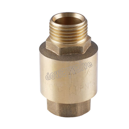 China Factory Bronze Check Valve (DW-CV018)