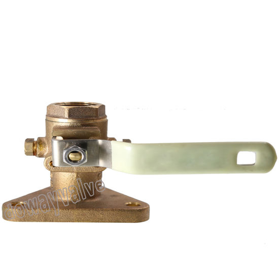 Steel Handle Bronze Flanged Seacock Valve (DW-BV017)