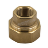 Forged Brass Female Union Insert for PPR Fitting （DW-PP001）