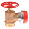 300psi Design Brass Landing Valve (DW-FV002)