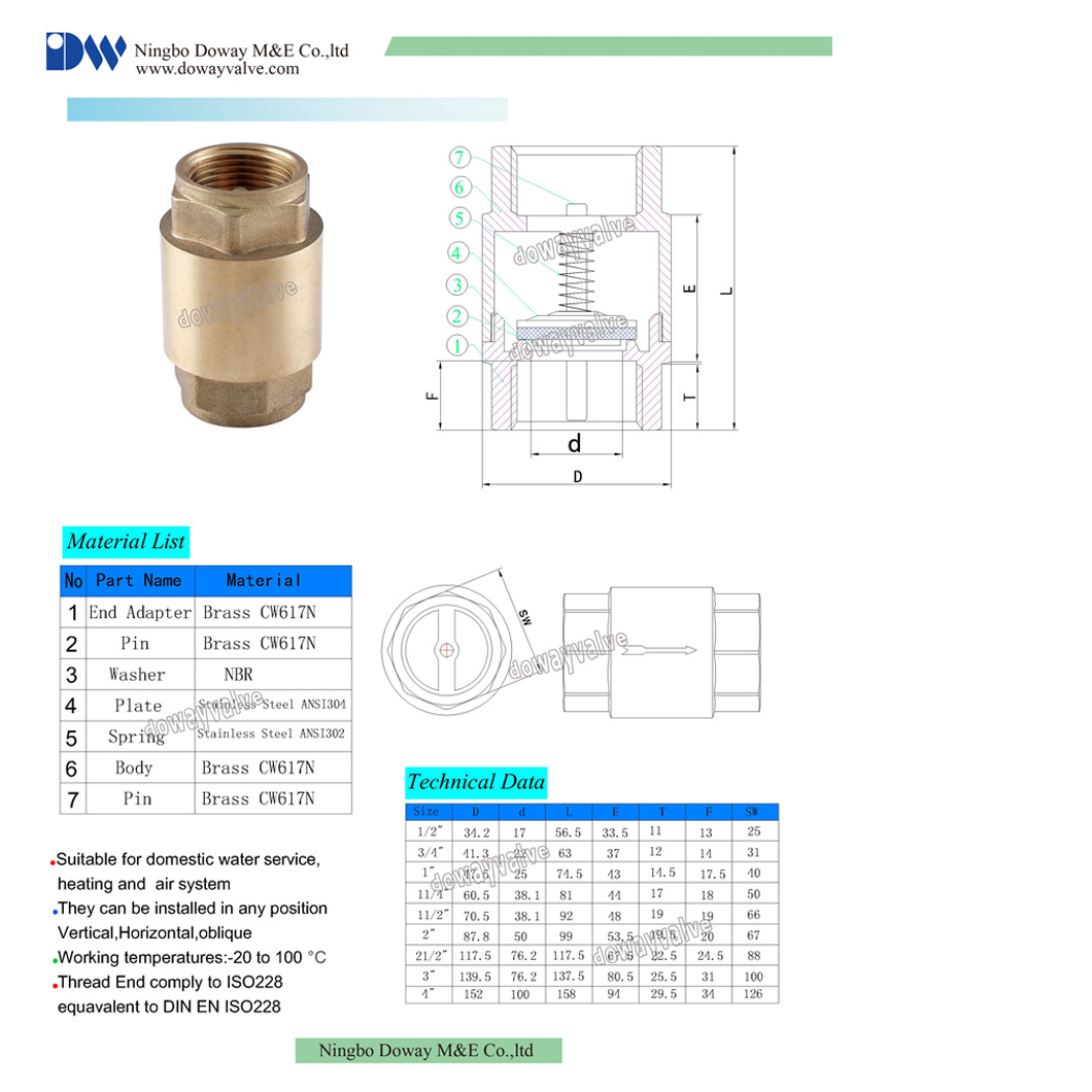 China Factory Wholesale Brass Vertical Spring Check Valve