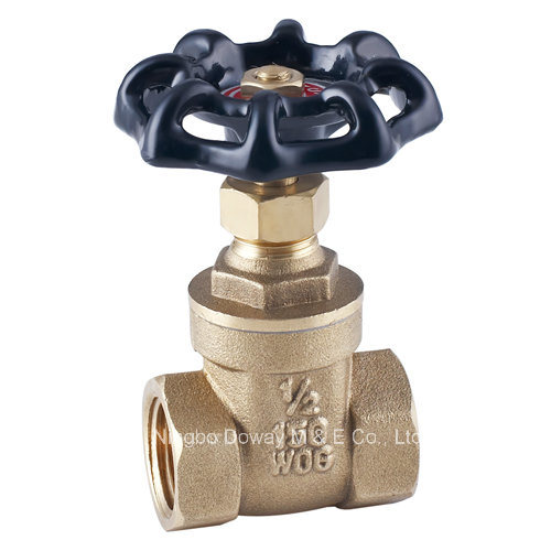 200wog Forged Brass Gate Valve