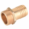 Polished Brass Straight Hose Coupling