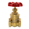 200wog NPT Threaded Forged Brass Gate Valve(DW105)