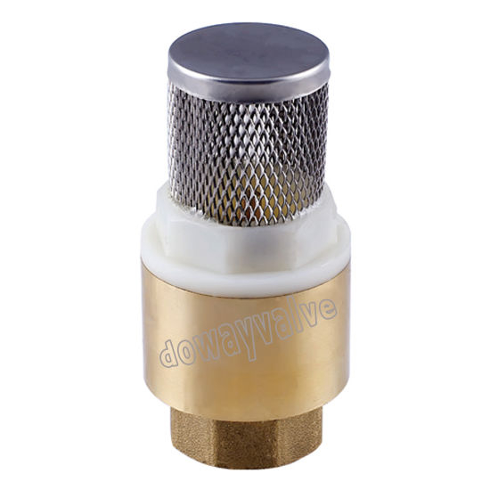 China Factory Custom Brass Spring Check Valve （DW-CV001）