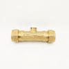 China Factory 15mm Brass Anti-Pollution Check Valve (DW-CV028)
