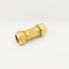 Brass Single Check Valve Non Return Valve 15mm (DW-CV029)