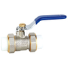Pn25 Union Brass PPR Ball Valve with Level Handle (DW-PPV005)