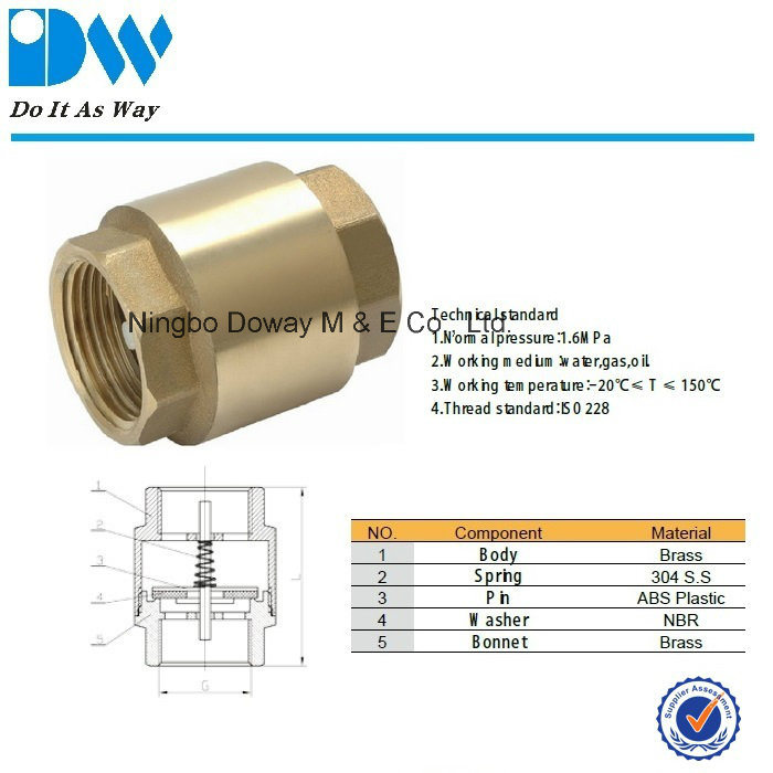 China Factory Custom Brass Spring Check Valve
