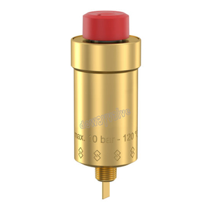 Automatic Brass Air Vent Valve Without Shut-off Valve (DW-VV010)