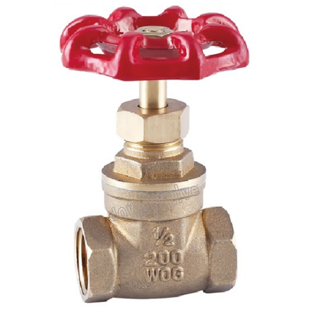 OEM Casting Iron Handle Brass Forged Gate Valve